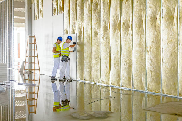 Best Insulation Maintenance and Repair in Taft, TX